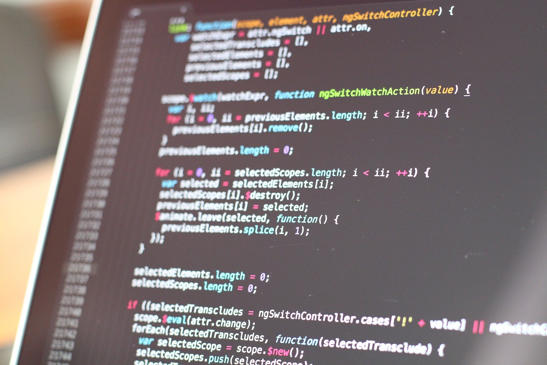 software_img